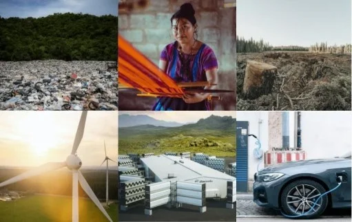 TechnoServe Joins Forces with the IKEA Foundation and the Visa Foundation to Launch Green Accelerator Program for Scale-Bound Businesses