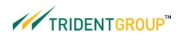 Trident Group Secures a Prestigious win with the Best Design and Concept Award at Paperex'23 <br>