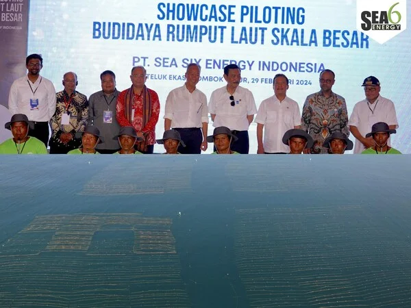 Sea6 Energy launches world's first large-scale mechanized tropical seaweed farm off the coast of Lombok, Indonesia