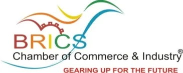 Experts Call for Increase in Pace of Energy Transition at Energy Partnership Forum 2.0 by BRICS Chamber of Commerce and Industry<br>