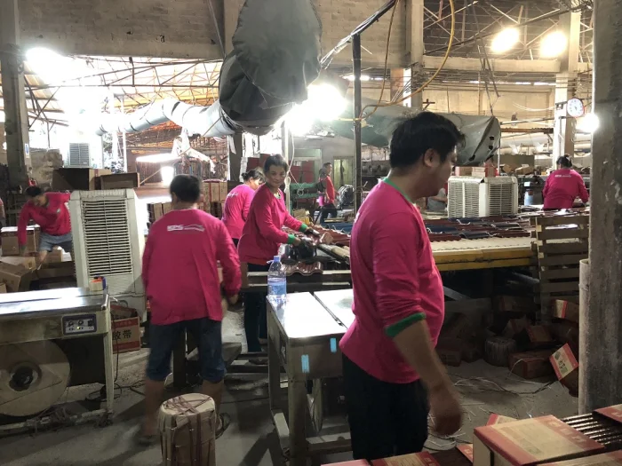 KPG Roofings Launches Local Manufacturing of Ceramic Roof Tiles in Gujarat for the First Time<br>
