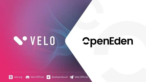 Velo Labs Selects OpenEden's Tokenized U.S. Treasury Bills to Strengthen Its Reserves for its USDV