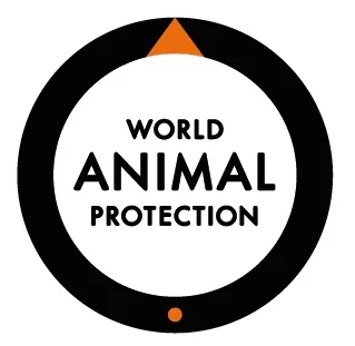 World Animal Protection Approaches Prime Minister to Prevent Elephant Transfer to Delhi from Assam<br>
