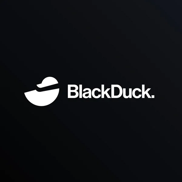 BlackDuckRWA Takes Flight with Token Launch - Bridging Traditional Finance and Web3