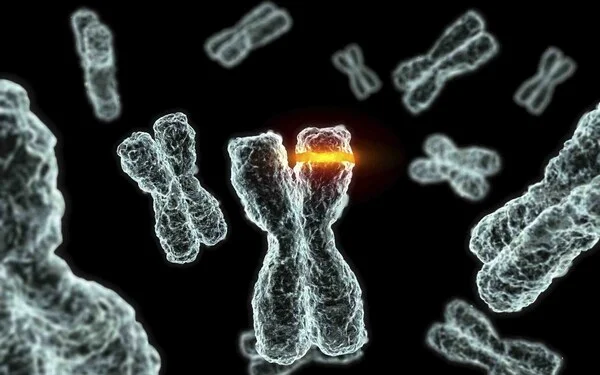 Datar Cancer Genetics Unveils Next Generation Multi-Analyte, AI-Powered Decision Support Platform for Personalized Treatment of Difficult-to-Treat Cancers.