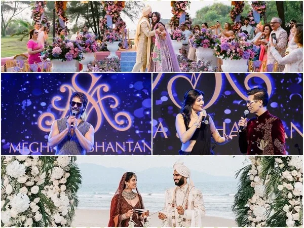 The Wedding Pie: WeddingSutra's study on why everyone, from MBAs, CAs, and Bollywood stars want their share