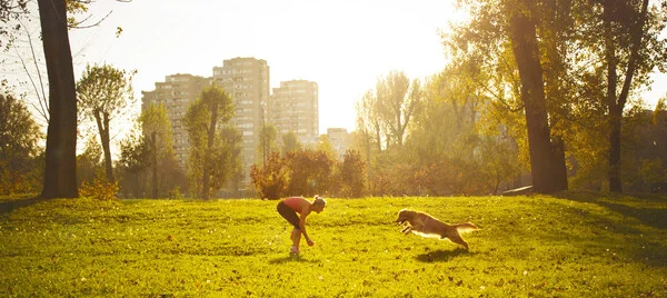 With Just 40% of Urban Pet Parents Calling Their Neighborhoods Pet-Friendly, Mars Expands BETTER CITIES FOR PETS™ to Help People and Pets Thrive