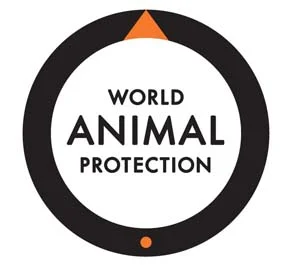 Begin the Process of Retiring Elephants in Jaipur, says World Animal Protection on the Occasion of World Elephant Day<br>