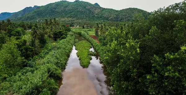 Turning India's Water Crisis into Water Security with River Rejuvenation: The Art of Living