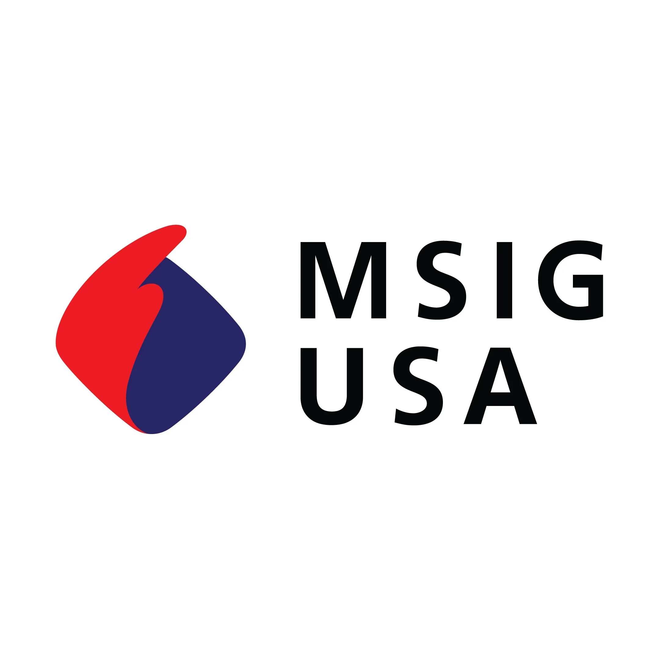 MSIG USA Supports Innovative DEG Fund to Expand Sustainable Investment Across Developing Markets