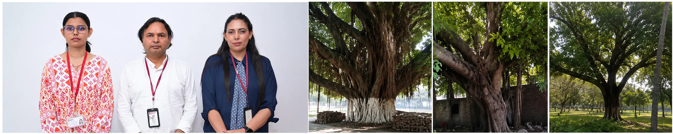 Chandigarh University Launches Heritage Tree Conservation Project to Digitally Map and Preserve Centuries-Old Heritage Trees in Mohali
