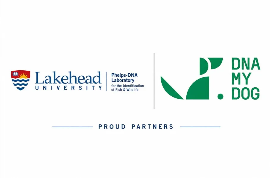 A Decade of Scientific Collaboration: DNA My Dog and Lakehead University’s Paleo-DNA Laboratory Celebrate Longstanding Partnership