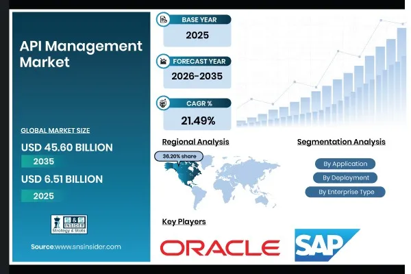 API Management Market Size to Surpass $45.60 Billion by 2035 | SNS Insider