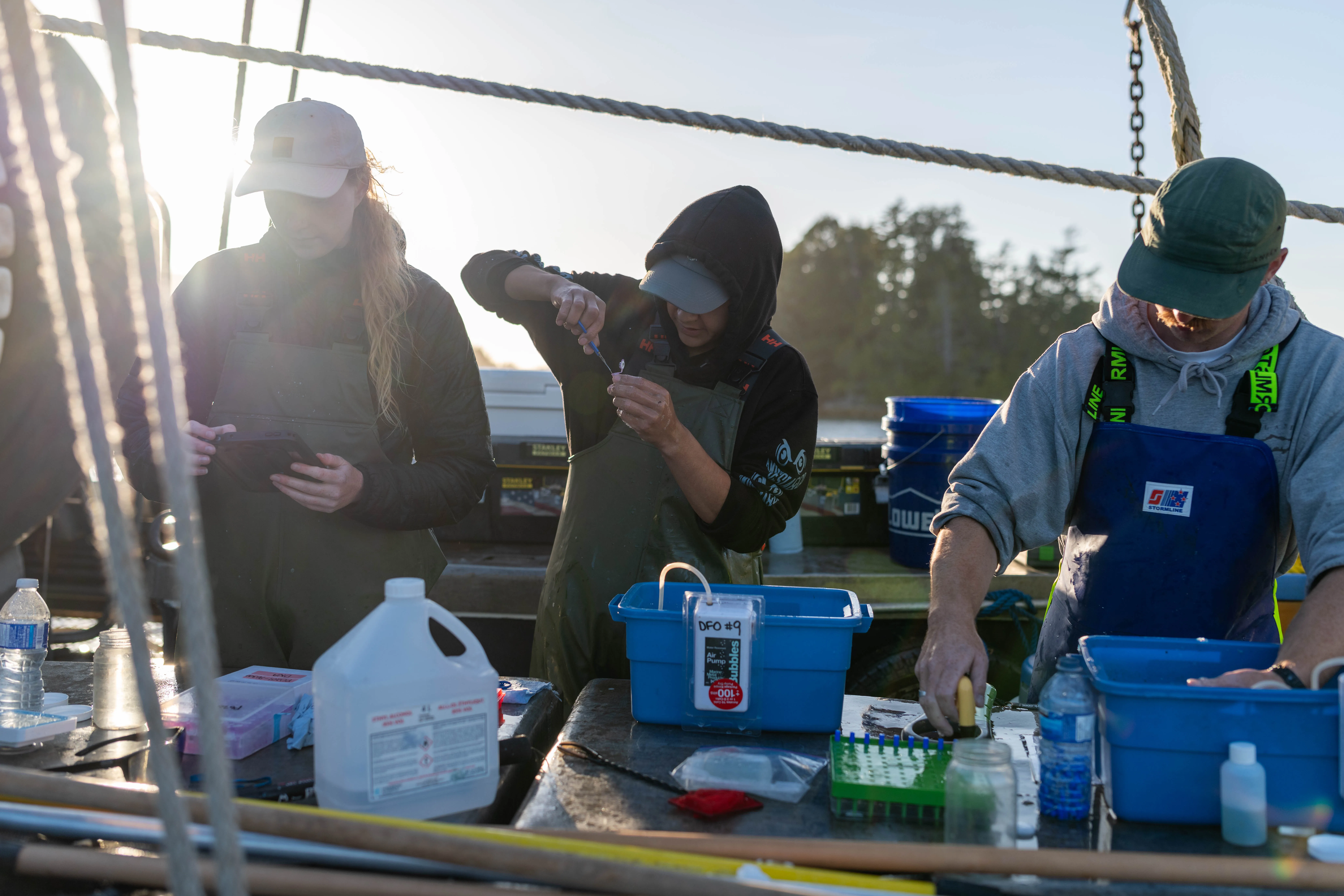 New genomics collaboration to enable First Nations sovereignty over salmon data