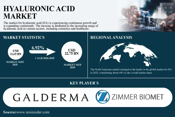 Hyaluronic Acid Market Size to Hit USD 22.75 Billion by 2035, at a CAGR of 6.92% - SNS Insider