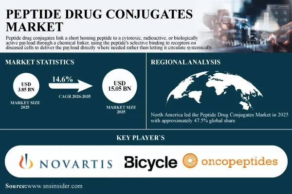 Peptide Drug Conjugates Market Size to Hit USD 15.05 Billion by 2035 at a CAGR of 14.6% - SNS Insider