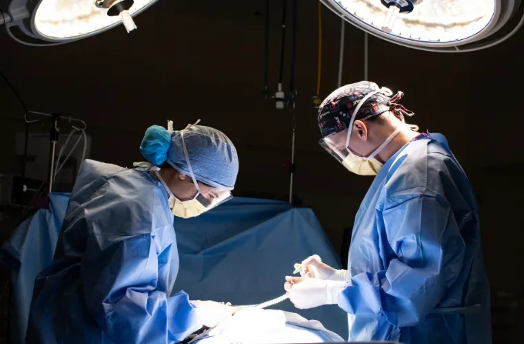 BayCare Generates $13 Billion in Economic Impact Annually for Florida