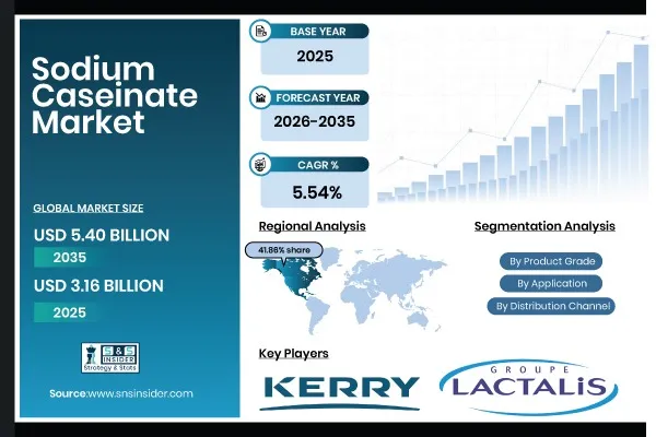 Sodium Caseinate Market Size to Surpass USD 5.40 Billion by 2035, Growing at 5.54% CAGR | SNS Insider