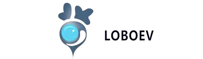 LOBO TECHNOLOGIES LTD. Announces First Half of Fiscal Year 2026 Financial Results