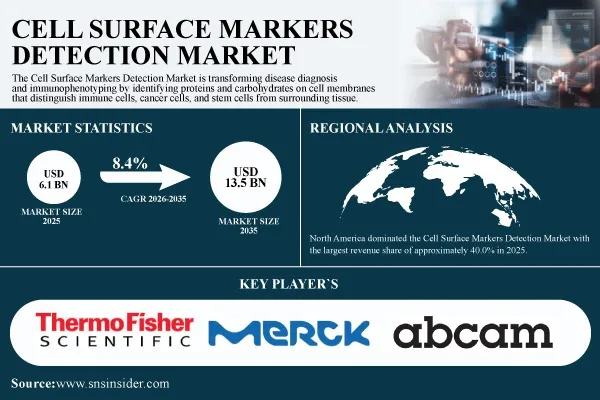Cell Surface Markers Detection Market Advances as Spectral Flow Cytometry Enables High-Dimensional Immune Profiling