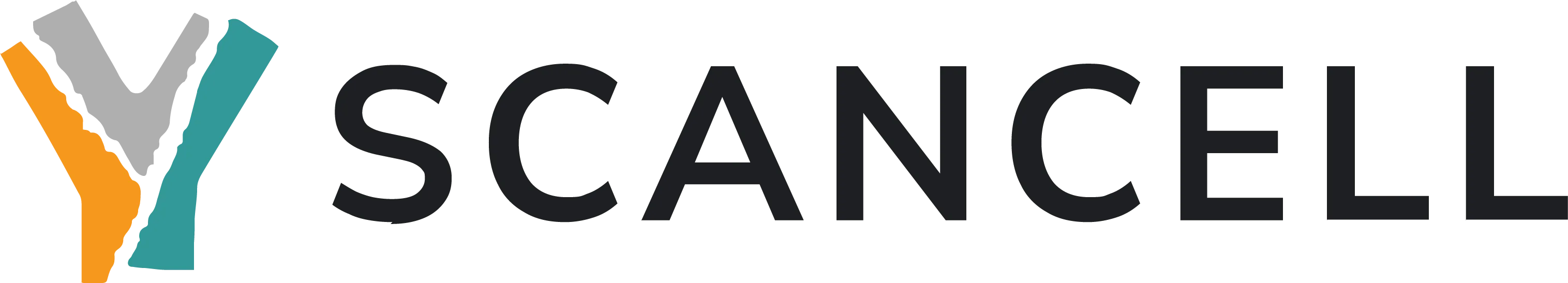 Scancell completes up to US$25 million in debt financing, providing optionality alongside equity investment to finance iSCIB1+ phase 3 development