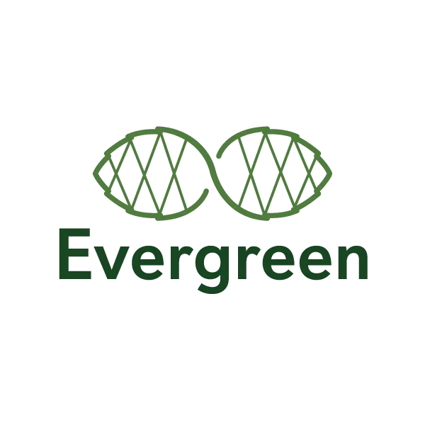 Evergreen's Lyra Technology Group Acquires Adelaide-Based Concept Data