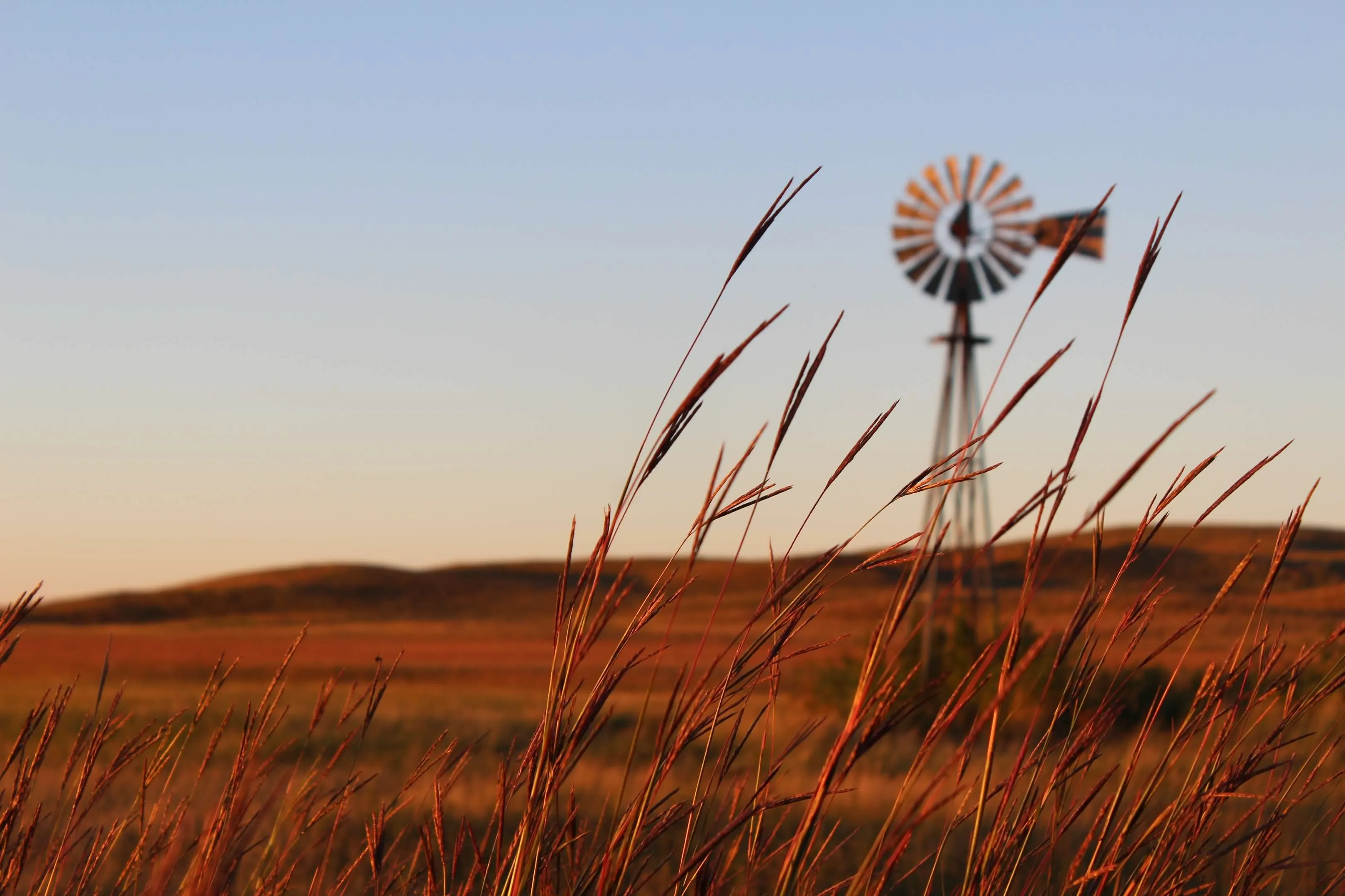 Rodale Institute’s “Farmer’s Toolkit 2026” Maps Organic Production Gaps and Buyer Priorities State-by-State, from Livestock and Feed Grains, to Dairy, Fiber and Produce