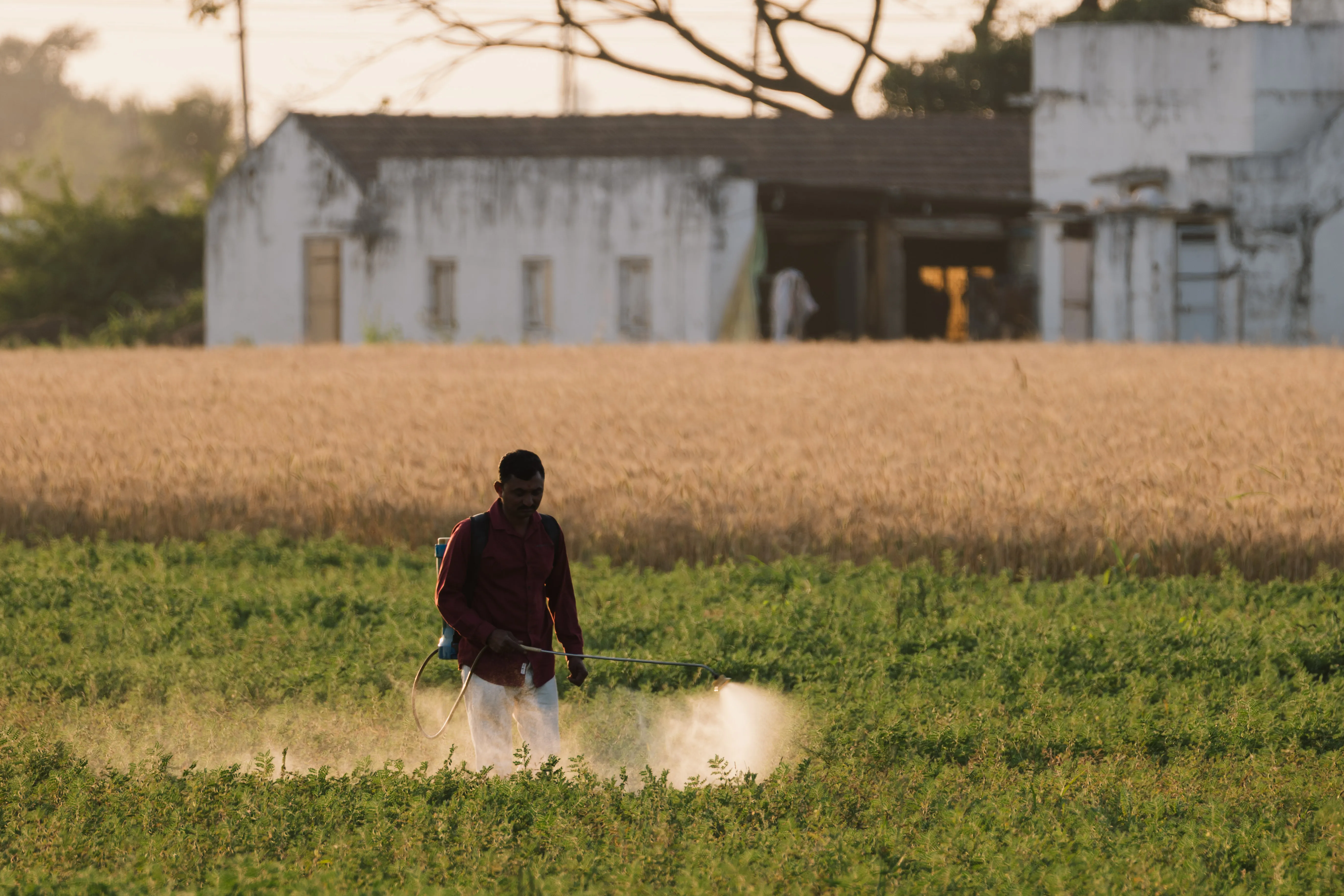 Aga Khan Foundation launches $500M drive to turn Indian Ocean restoration into economic opportunity