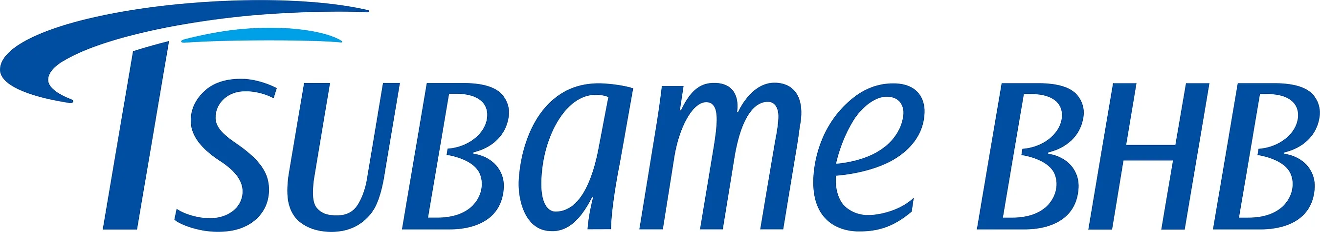 Ammonia from Tsubame BHB's Commercial-Scale Demonstration Plant at INPEX Now Supplied to Mitsubishi Gas Chemical