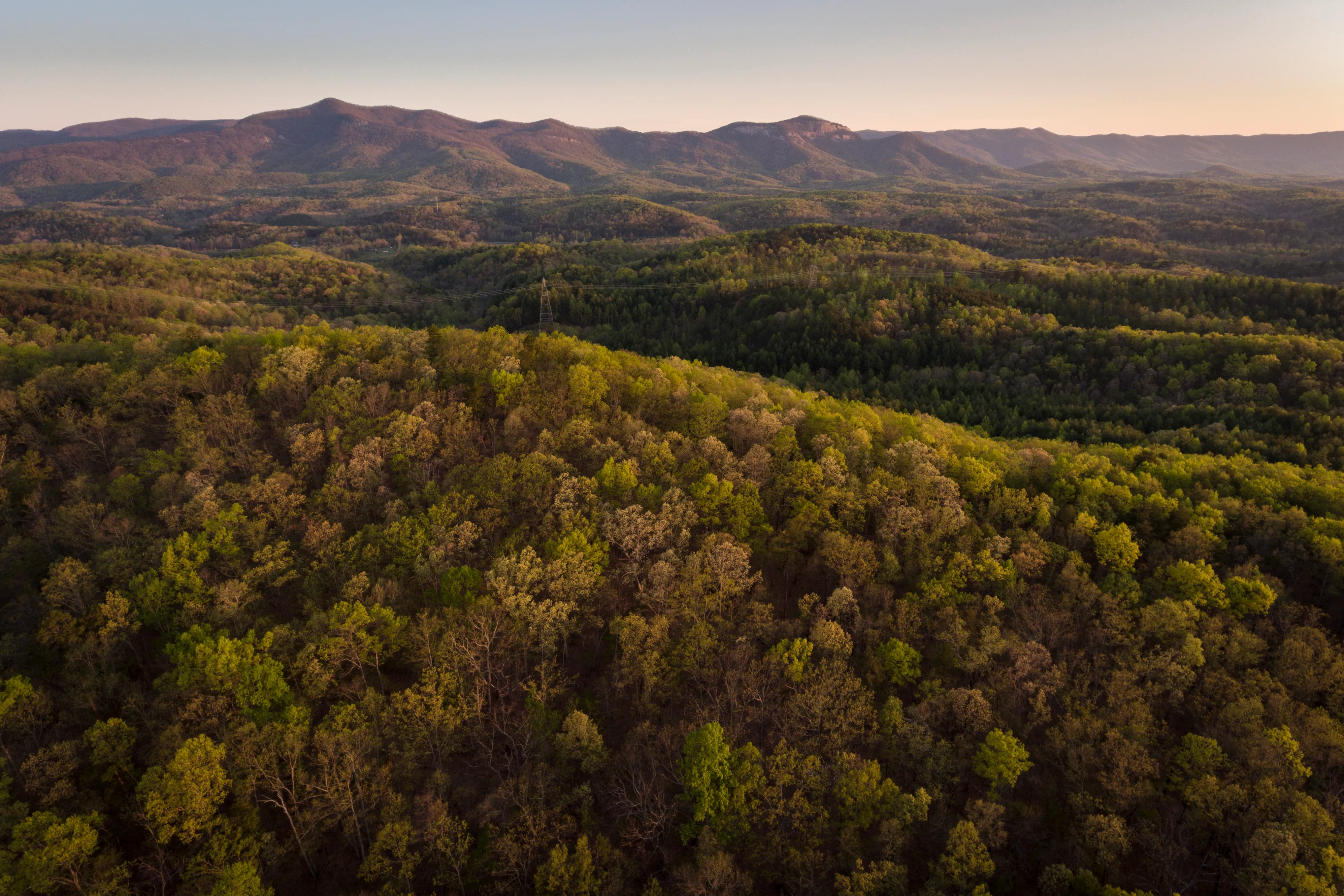 Study Sheds Light on Rate and Impact of Forest Loss in the U.S.